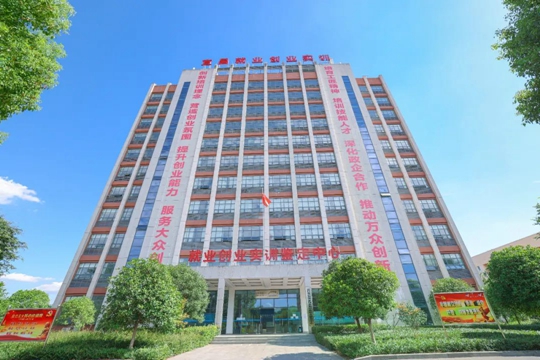 湖北省第一批“荊楚工匠學(xué)院”！宜化職業(yè)培訓(xùn)中心獲授牌(圖2)