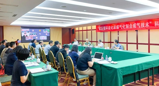 通過鑒定！新疆宜化一項技術(shù)達(dá)國際領(lǐng)先水平！